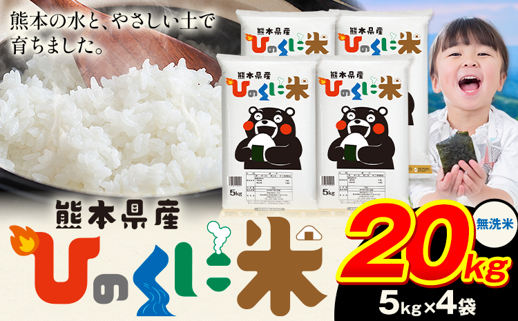 無洗米 ひのくに米 20kg 《7-14日以内に出荷予定(土日祝除く)》 食品 米 こめ コメ 熊本県産 ふるさと納税 お米 おこめ 熊本---ubuyama_lcl_605_20kg---