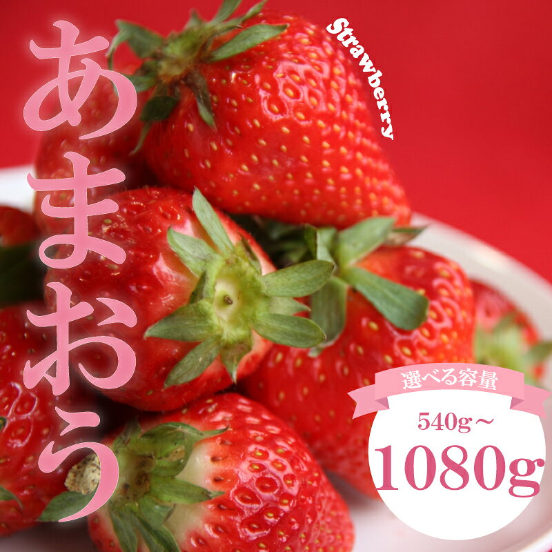 【ふるさと納税】 【選べる発送月】 福岡県産 あまおう 約540g~1080g (約270g×2~4P) 冷蔵 小分け いちご 福岡県産 苺 あまおう 苺 イチゴ 1kg以上 果物 スイーツ 数量限定 期間限定 特別栽培 特産品 デザート フルーツ 博多 先行受付