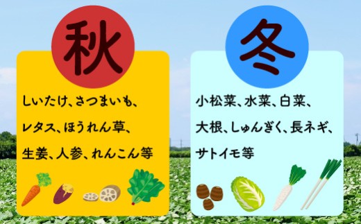 宮若産 旬の野菜詰め合わせ詰め合わせ 6?8種セット [M1018] 季節 野菜 果物 詰め合わせ 九州 福岡 宮若市 ふるさと納税 おすすめ