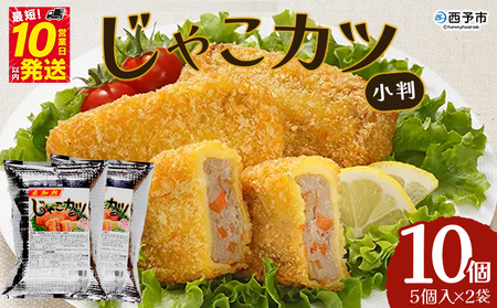 ＜じゃこカツ小判（未加熱）5個入り×2袋＞ 合計10個 お惣菜 小魚 さかな 魚介 すり身 じゃこ天 フライ 揚げ物 加工品 特産品 おつまみ おかず お弁当 バーガー カレー 国産 おがた蒲鉾 愛媛県 西予市 【冷凍】『1か月以内に順次出荷予定』UOK0005