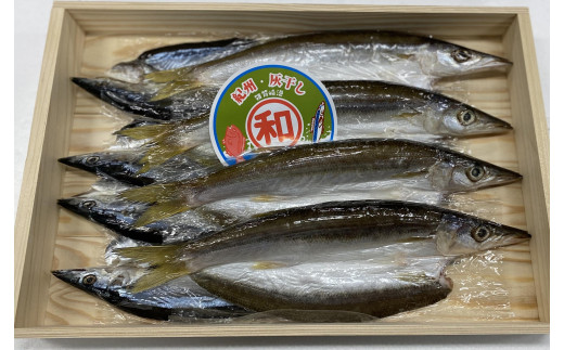 
                  紀州伝統の灰干し製法で仕上げた 灰干しカマスと灰干しさんま 各4尾 の セット
                