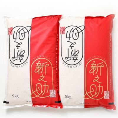 ふるさと納税 糸魚川市 令和7年産 新之助5kg×2袋　精米