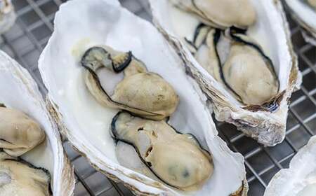グラタン 牡蠣 8個 惣菜 簡単調理 カキグラタン