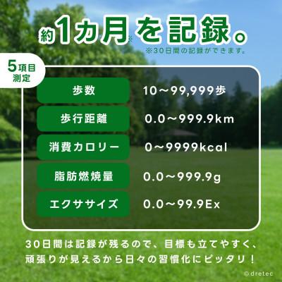 ふるさと納税 川口市 ドリテック 歩数計 「デイリーパートナー」 ホワイト 脂肪燃焼量 メモリー機能 H-235WT |  | 01