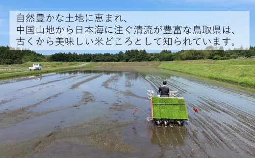 令和6年産　ひとめぼれ10kg（精白、5kg×2）