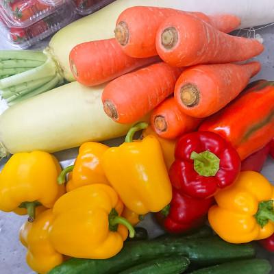 ふるさと納税 熱海市 vege pickA　ミックスベジタブル　(5袋セット)　岸浅次郎商店　熱海　カラフルピクルス　 |  | 02