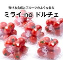 【ふるさと納税】A4151 【数量・期間限定】『ミライ no ドルチェ』 新潟県村上産ミニトマト