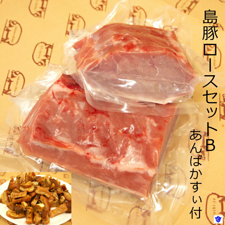 【ふるさと納税】島豚ロースセット　B