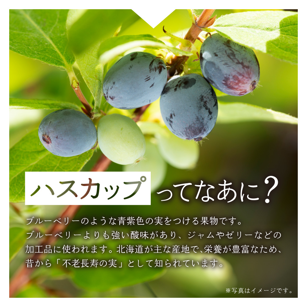 【２ヶ月定期便】い・ろ・は・す ハスカップ　540mlPET×24本｜コカ・コーラ 北海道限定 フレーバー 飲料  水 いろはす 北海道 札幌市