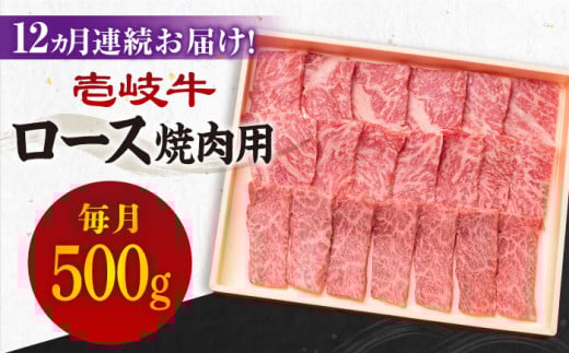 【全12回定期便】《A4～A5ランク》壱岐牛 ロース 500g（焼肉）[JBO076] 肉 牛肉 ロース 焼肉 焼き肉 赤身 定期便 BBQ 372000 372000円 36万円