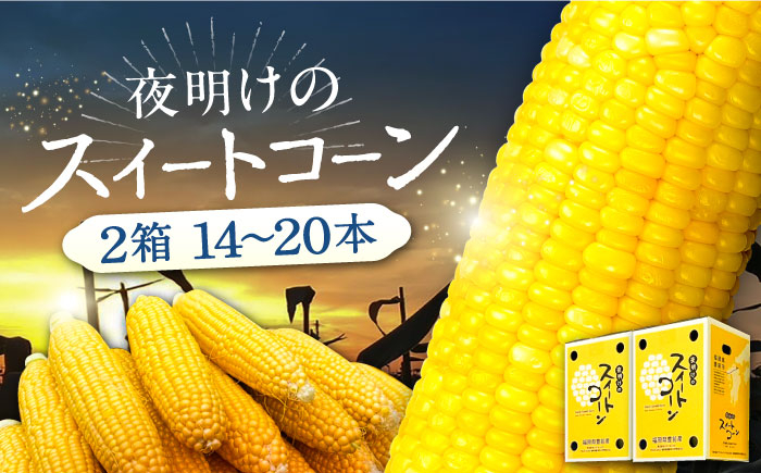 
            【先行予約】夜明けのスイートコーン 4kg×2箱 (14～20本) 【2026年6月以降順次発送】《豊前市》【アグリネックス】 とうもろこし コーン スイートコーン 20000円 [VCO002]
          