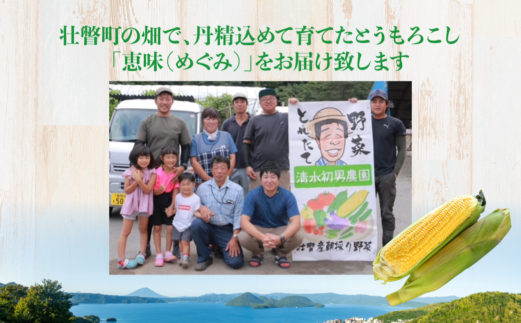 北海道壮瞥町 2回 定期便 8月上旬・8月下旬朝採り！産地直送 北海道壮瞥町産 とうもろこし黄・白 食べ比べ SBTP011