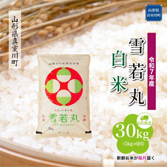【ふるさと納税】令和7年産 真室川町厳選 雪若丸 ［白米］ 30kg 定期便（5kg×6回お届け）