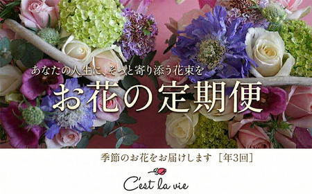 生花 定期便 年3回 バラ アレンジメント 生花