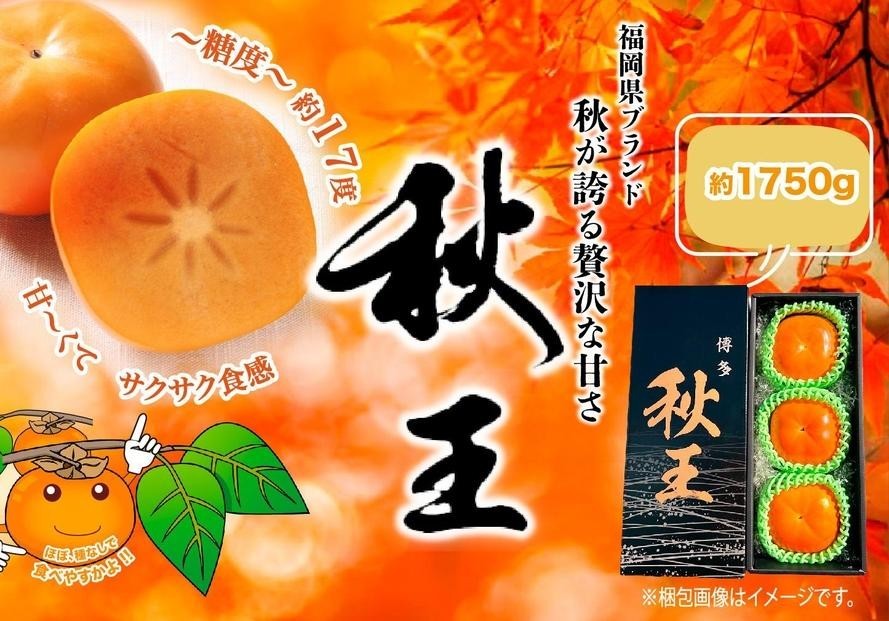 
                  ＜2026年発送分・先行予約＞秋王　約1.75kg(5～6玉入)　柿
                