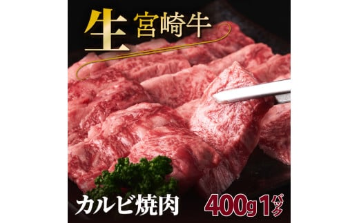 SKRKY-1-2505＜2025年5月発送分＞　宮崎牛カルビ焼肉（400g）