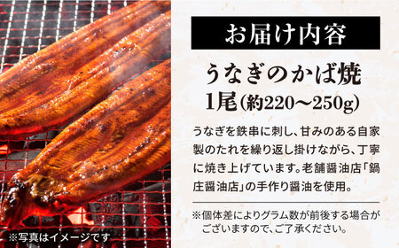 うなぎかば焼　滋賀県長浜市/有限会社　千茂登[AQCU003]