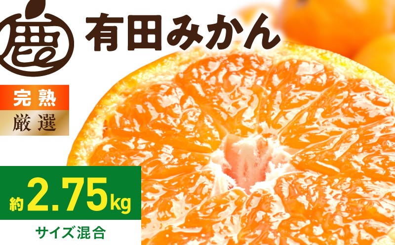 
                  【2026年先行予約】厳選 完熟 有田みかん約2.5kg 傷み補償 ＋250g 光センサー選果 サイズ混合 濃厚な味わい みかんどころ 柑橘 フルーツ 果実 デザート お取り寄せ 和歌山県 湯浅町 送料無料 _ZH7122
                
