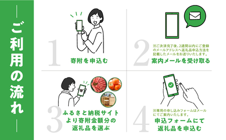 あとからチョイス 30万円  本巣市返礼品カタログ