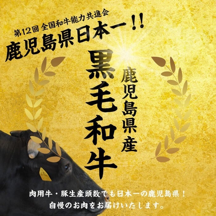 【2月発送予定】鹿児島県産黒毛和牛赤身モモ焼肉 (計2kg・200g×10P) b8-040-02