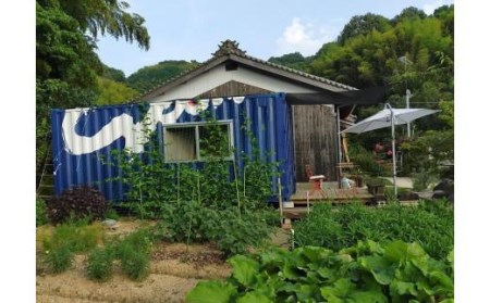 季節の手作りジャム６種類セット 愛媛県 松山市 ファームメイドジャム 手作りジャム【SF0011】