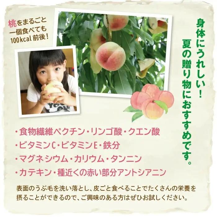 清水白桃 ご自宅用お試しサイズ 1.4kg前後 momo70 【配送不可地域：北海道／沖縄県／離島】 【jujy087-01】