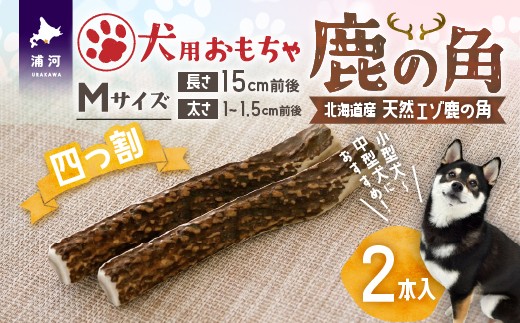 
                  犬用「鹿の角(四つ割り)」Ｍサイズ×2本[53-1602]
                