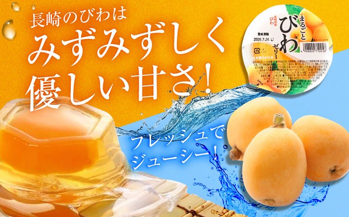 ゼリー びわ ビワ 枇杷 まるごと 定期便 長崎