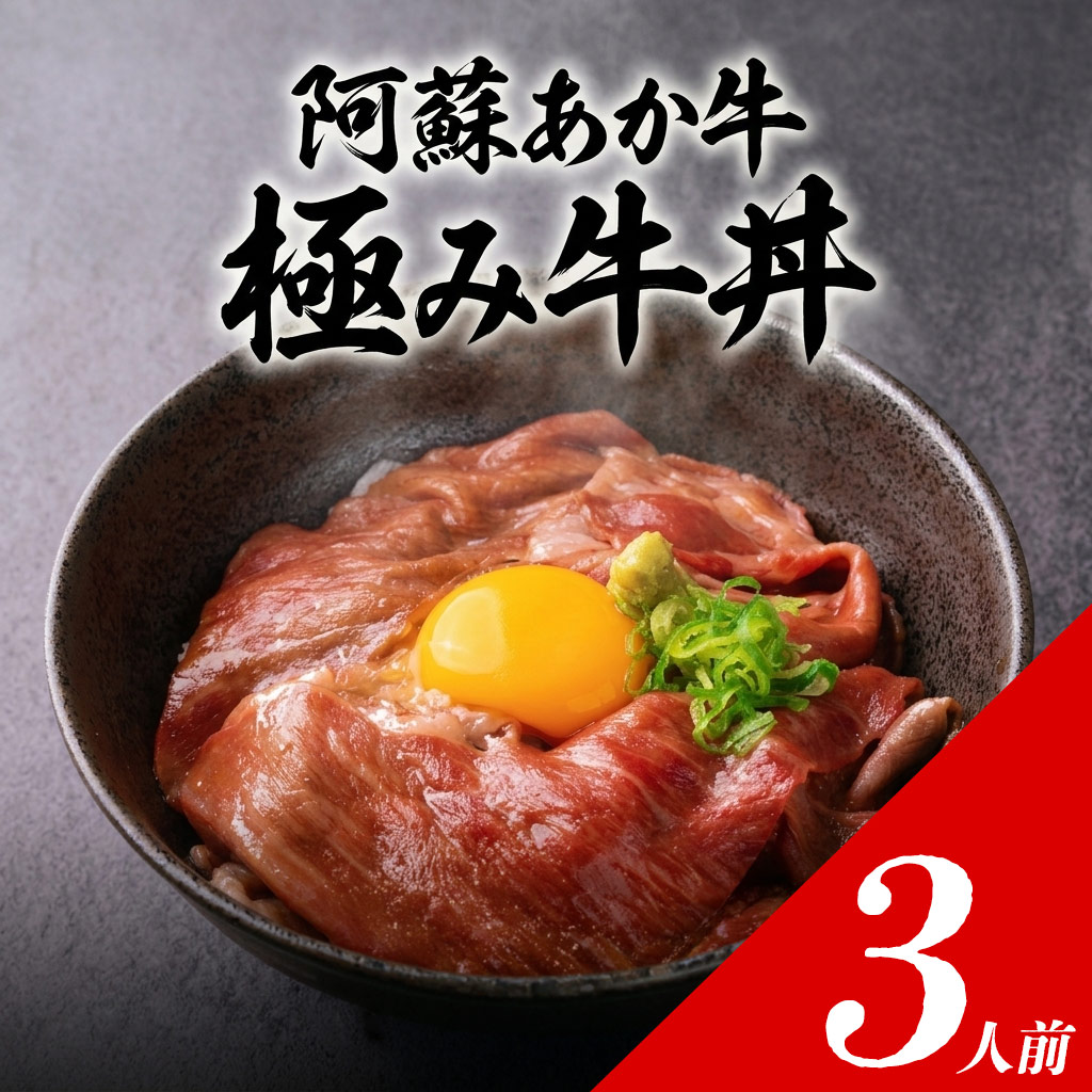 【くまもとあか牛】極みあか牛丼 3人前 特製タレ付き 【牛肉 あか牛丼 肉 冷凍 国産 贅沢 豪華 贈答用 ギフト 手土産 贈り物 熊本県 阿蘇市】