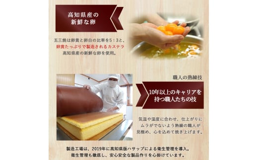 特製米粉かすてら 四万十五三焼 （約250g×3本） ／Bmu-78