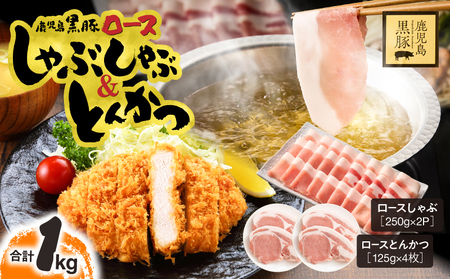 鹿児島県産 黒豚ロース しゃぶしゃぶ 500g、ロース とんかつ 4枚 KN054-020 黒豚 豚肉 鍋