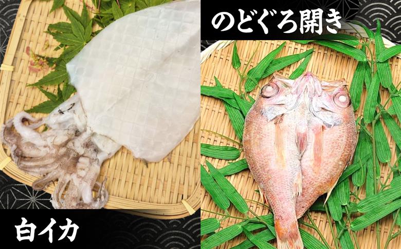 日本海（山陰の干物）セット 島根県松江市/有限会社ヤマヲ水産｜干物 セット 干物セット ひもの ひものセット 魚介類 詰め合わせ アジ イカ　ハタハタ [ALDB024]