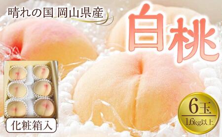 岡山県産　白桃6玉(1.6kg以上) 化粧箱入り
