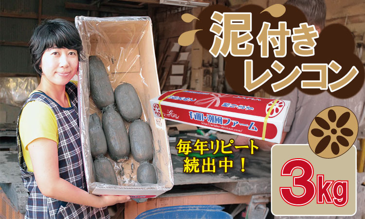 
            佐賀県産 泥付き レンコン（3kg）有明・潮風ファーム 蓮根 れんこん
          