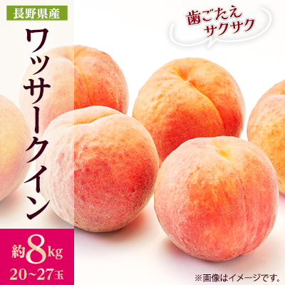 【2027年発送】フルーツ王国　長野県信州直送　ワッサークイン約8kg(20～27玉)【配送不可地域：離島】【1530506】