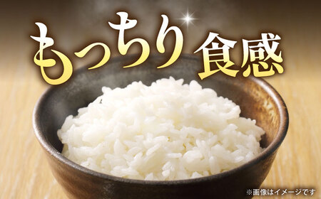 【先行予約】熊本県産　お米 森のくまさん 5kg 【すみれファーム】[ZEP072]
