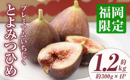 ＜先行予約受付中！2025年8月上旬～2025年10月中旬に順次発送予定＞いちじく とよみつひめ(約300g×4パック) ＜離島配送不可＞【ksg1229】【南国フルーツ】