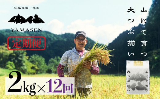 新米先行予約【2026年産米】【定期便】2kg×12回（2026年10月中旬から発送）山仙（いのちの壱）すがたらいす 下呂市金山産 令和8年産 毎月 2キロ×12カ月 お米 精米 下呂温泉 下呂市 米 ブランド米
