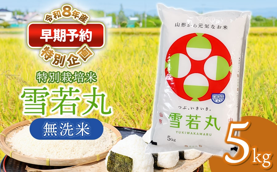 
                  【早期予約特別企画】【令和8年産先行予約】 特別栽培米 雪若丸 無洗米 5kg　(5kg×1袋)　山形県鶴岡産　鶴岡協同ファーム
                