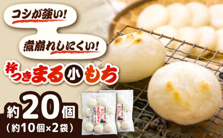 餅 杵つきまるこもち 300g 2袋セット（20個）[AIBB014]