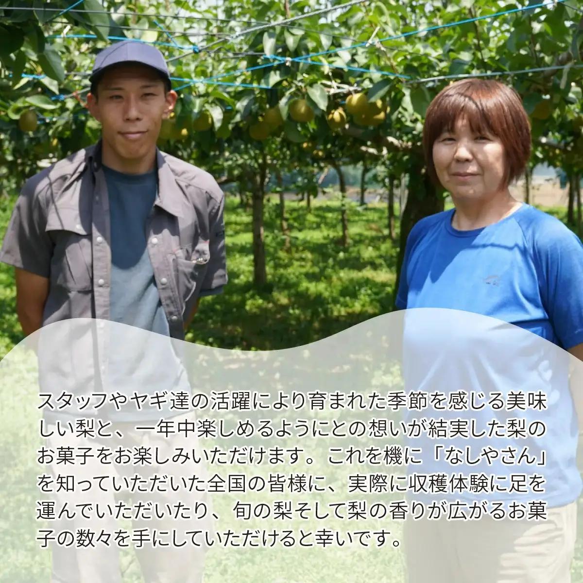梨 豊水 約3kg(5～7個入り) 先行予約 | 梨 豊水 埼玉県 東松山市