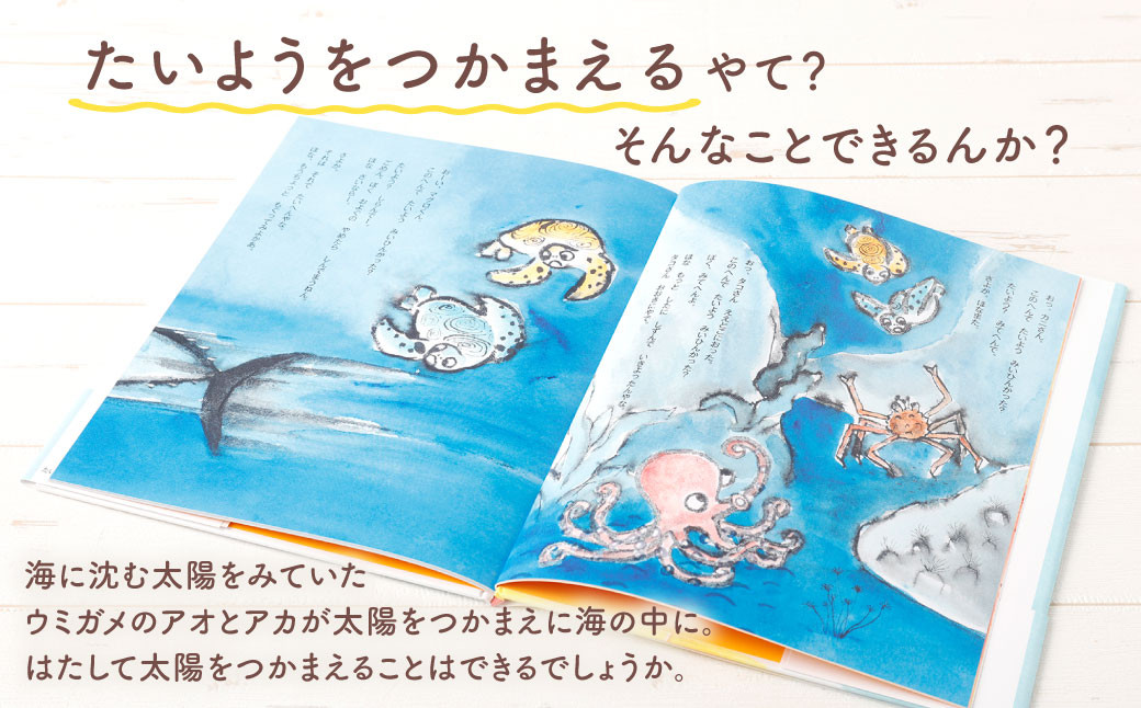 徳之島の絵本 「たいようをつかまえろ」