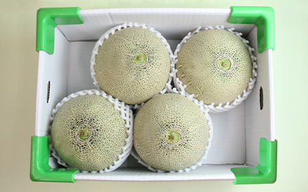 庄内産砂丘メロン（青肉）約5kg FSY-0761