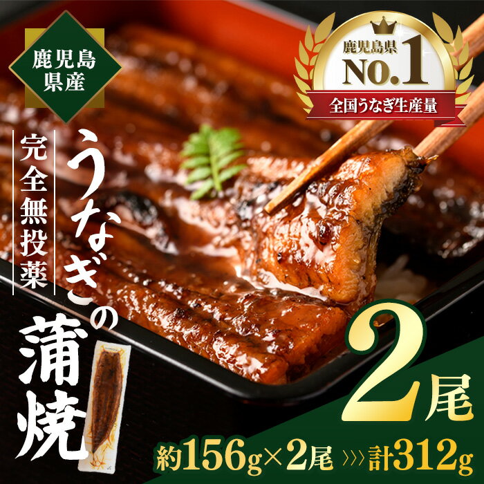 【ふるさと納税】鹿児島県産うなぎ蒲焼 (計約312g / 約156g×2尾) 鰻 ウナギ うなぎ うな重 鹿児島県産 冷凍 【株式会社薩摩川内鰻】