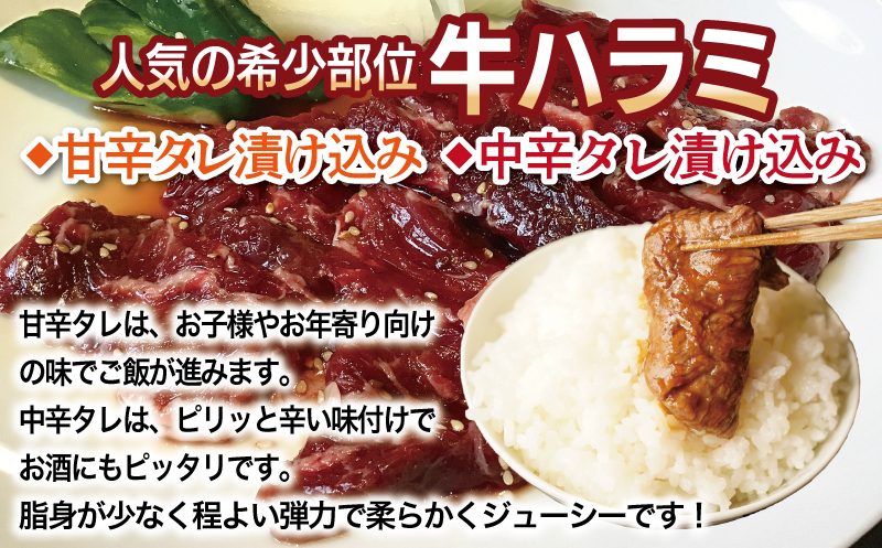【満足牛ハラミ】3種セット （甘辛タレ漬け・中辛タレ漬け・オリジナルスパイス仕込み） 合計1.5kg 【味付け ハラミ 小分け 焼くだけ 簡単調理 BBQ 牛肉 250g×6P】 015B500_イメ