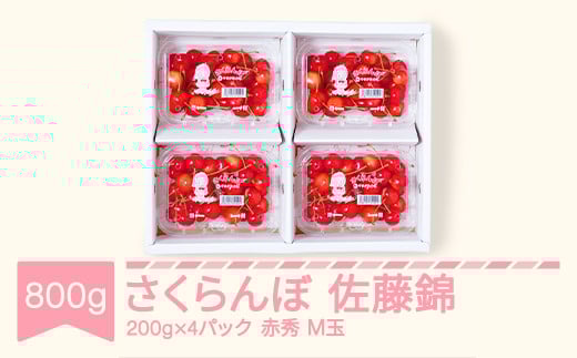 先行予約 さくらんぼ 佐藤錦 赤秀 M玉200g×4パック 2025年産 令和7年産 山形県産 mm-snpmx800