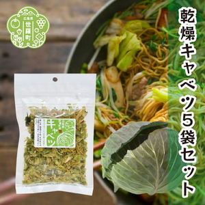 乾燥キャベツ40g×5袋セット 乾燥野菜 非常食 備蓄 ダイエット 食物繊維 キャンプ アウトドア 世羅 A047-13