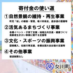 【返礼品なし】女川町への応援寄附(一口1,000円)