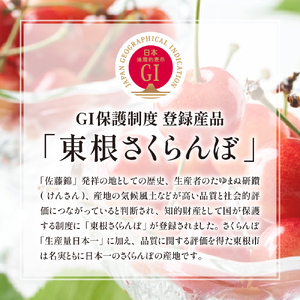 2025年GI東根さくらんぼ「紅秀峰」700gバラ詰め(350g×2ﾊﾟｯｸ) 東根農産センター提供 hi027-175-1　山形県 東根市 果物 フルーツ サクランボ さくらんぼ 紅秀峰 ジーアイ 