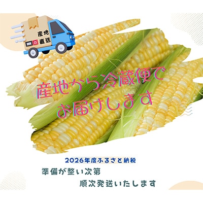 【2026年度先行受付】愛知県みよし市産 朝採り「夢コーン。」 Lサイズ　40本セット　数量限定【配送不可地域：離島】